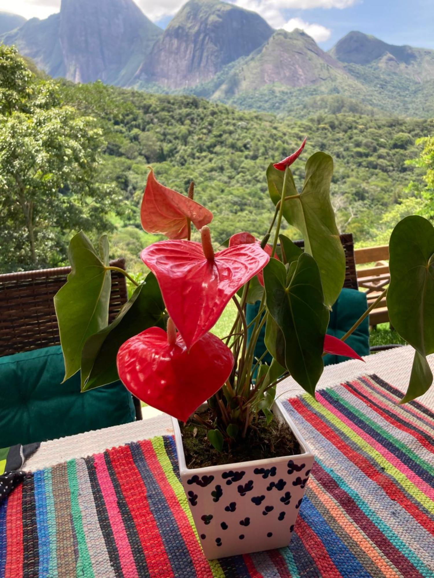 A Cabana Mais Bucolica De Araras Petrópolis المظهر الخارجي الصورة